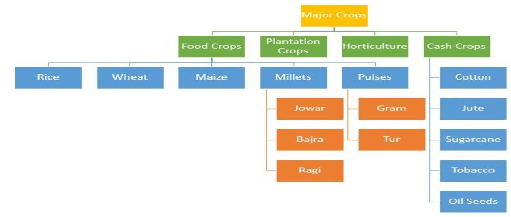 major crops