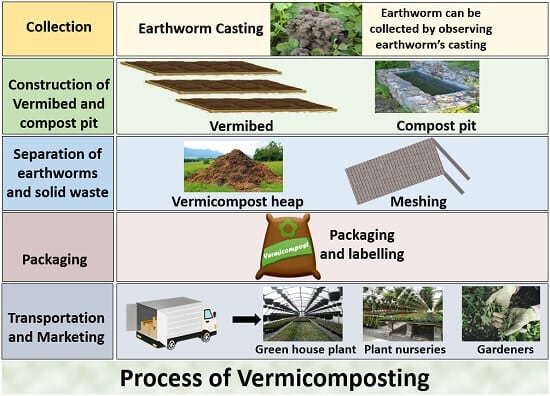 process of vermicomposting