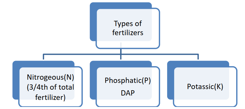 types of fertilizers