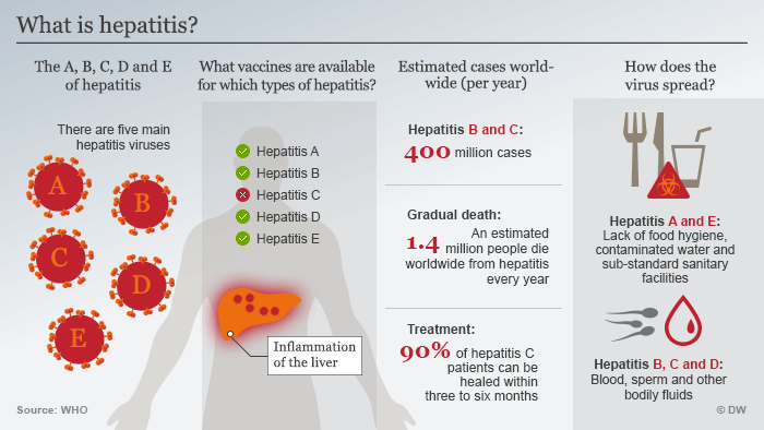 Hepatitis - Causes, Treatment & Types - UPSC