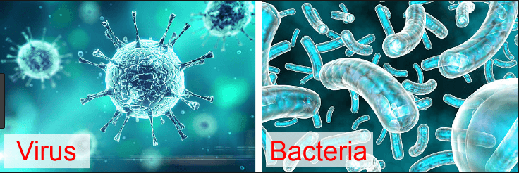 difference between virus and bacteria UPSC