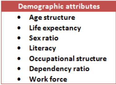 Demographic Attributes