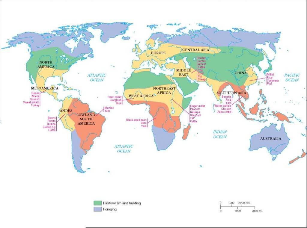 economic regions of the world