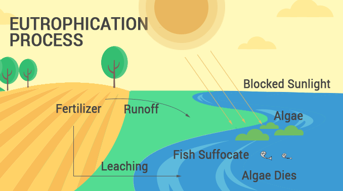 eutrophication process upsc