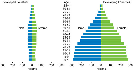 population pyramid in developing countries