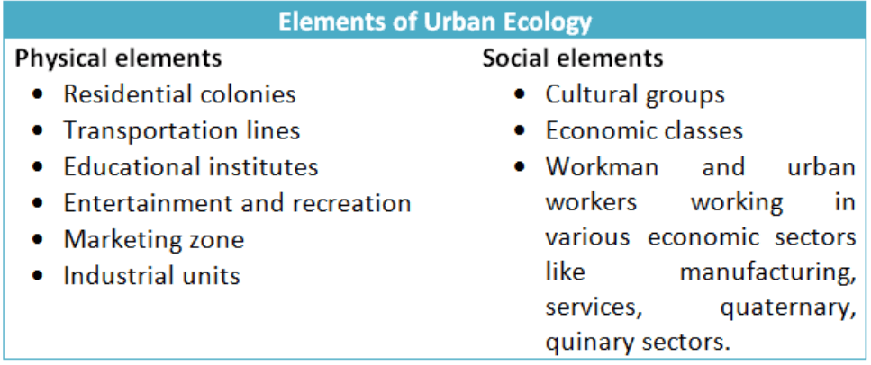 Elements of Urban Morphology