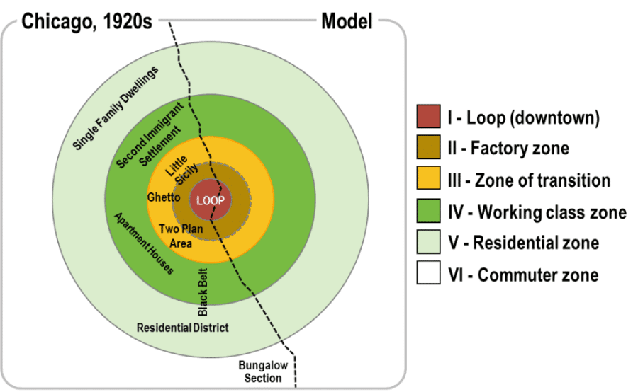Process of development of concentric zones