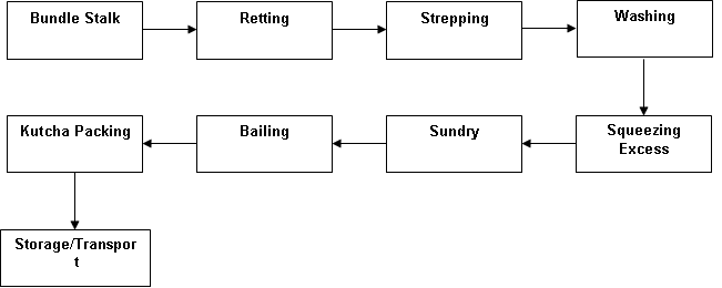 Processing of Jute