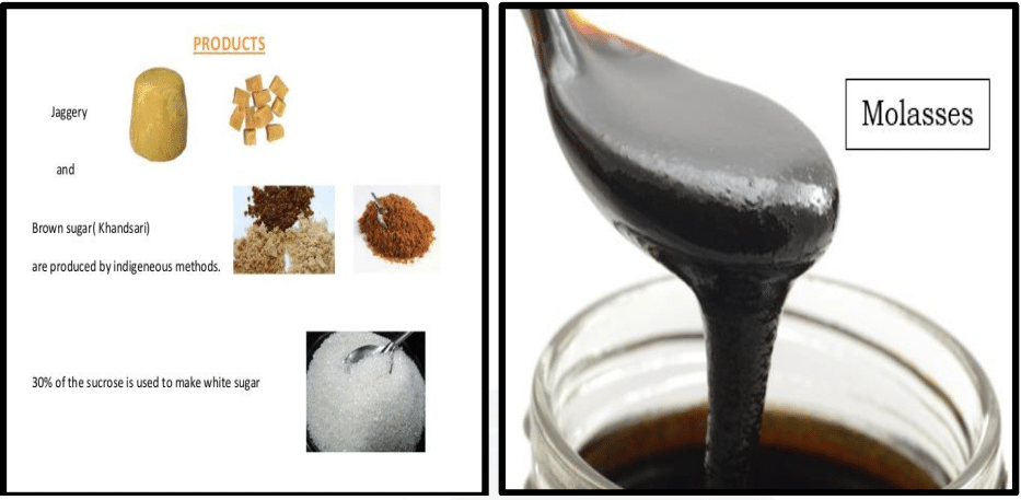 Sugarcane Products