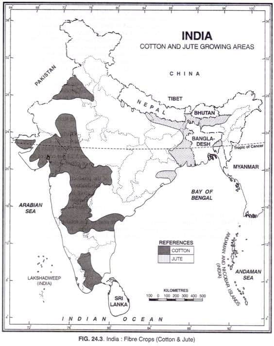 cotton distribution in india