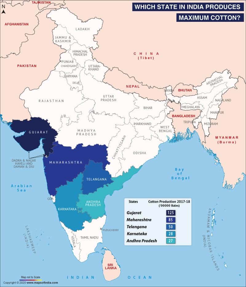 cotton producing states in india