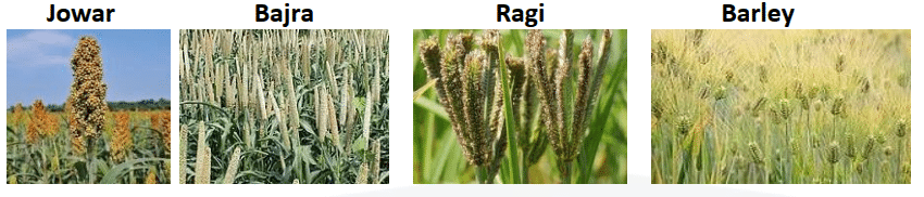 millets types