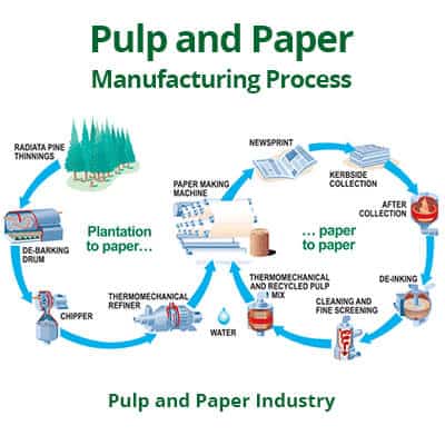 paper manufacturing process