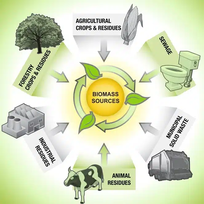 twintig Aanpassingsvermogen isolatie Biomass Energy (Bio-energy) - UPSC