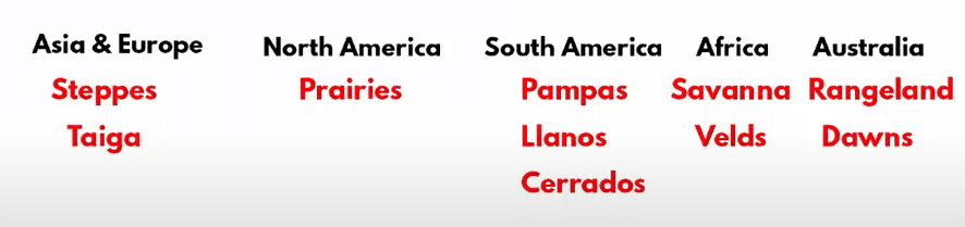 Grasslands of the World - Name