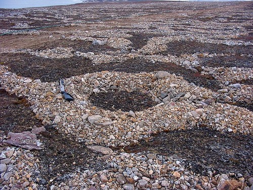 patterned ground depositional