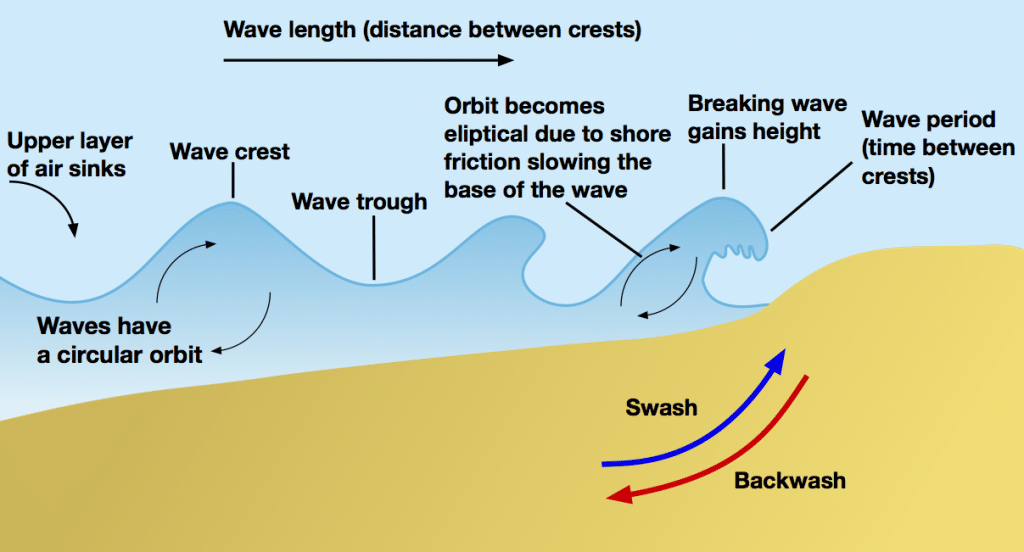 swash and backwash