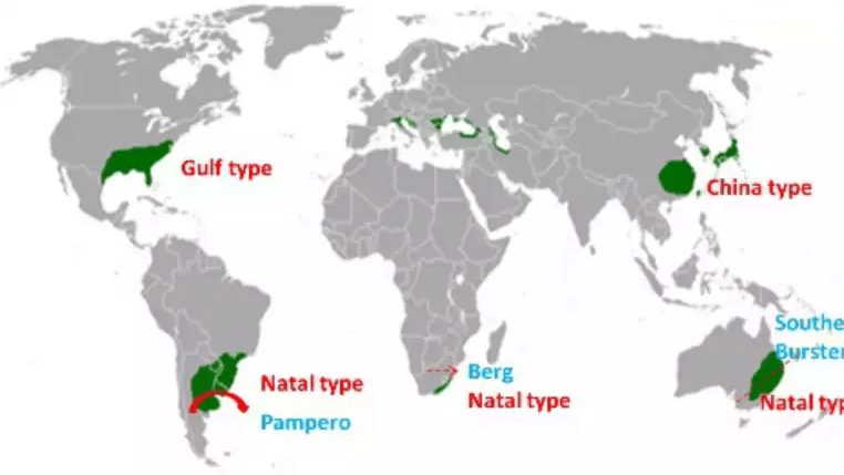 China Type Climate
