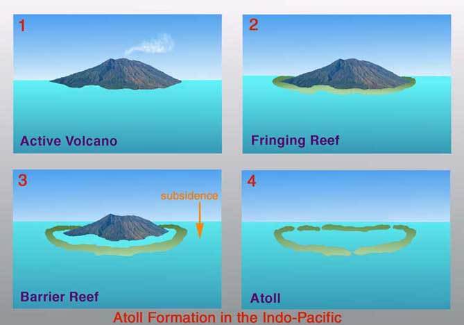 Development Of Major Coral Reef Types