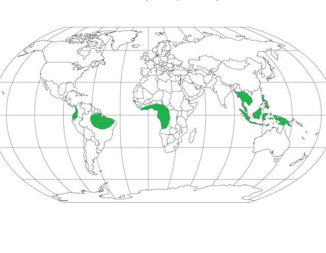 Climatic Regions Of World - UPSC