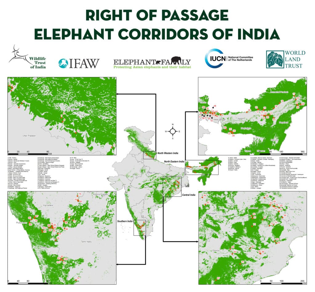 भारत में हाथी गलियारे