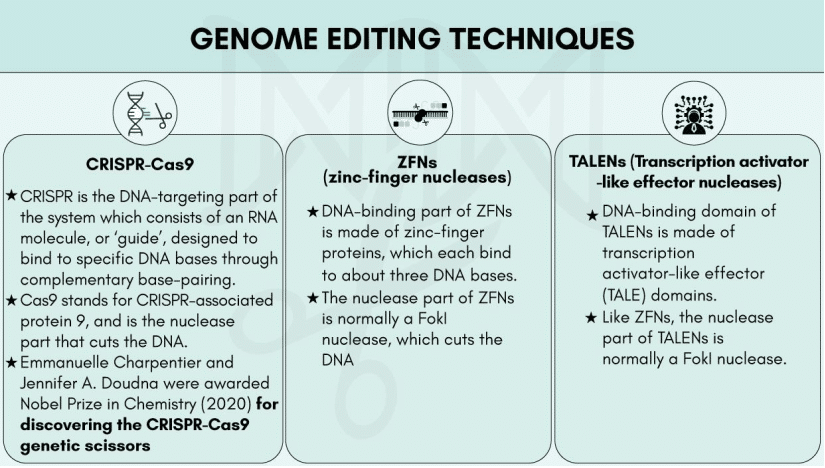 Gene editing techniques