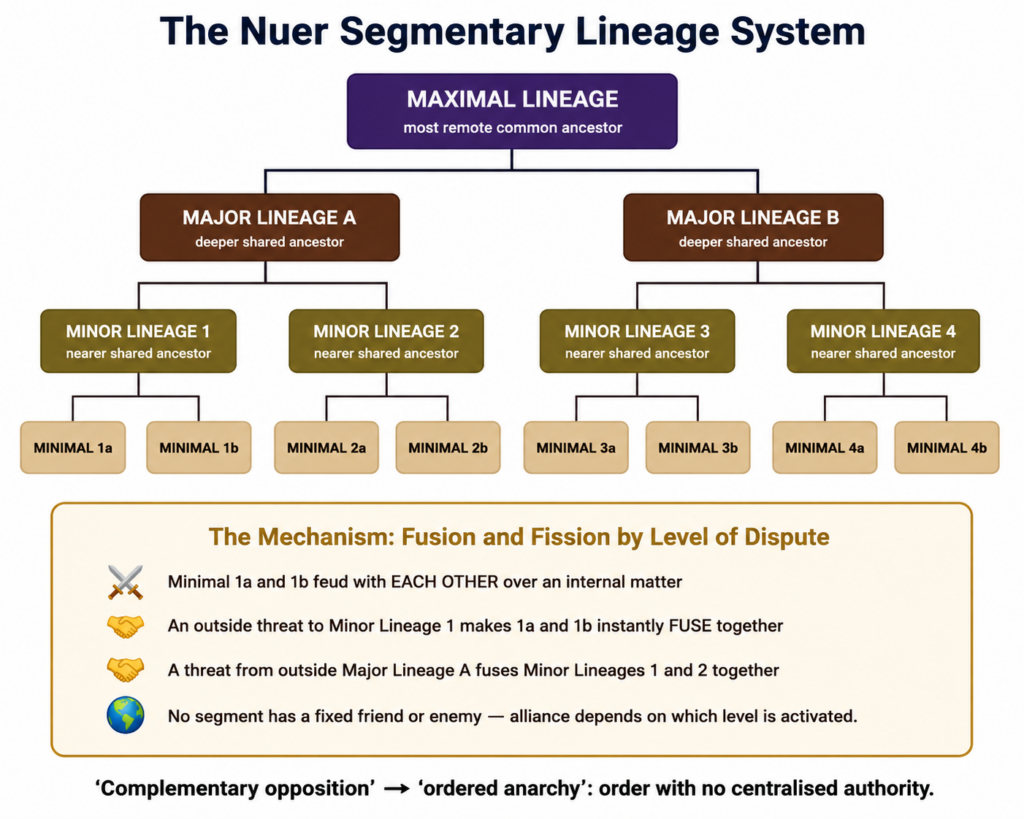 Nuer Segmentary Lineage System Infographic
