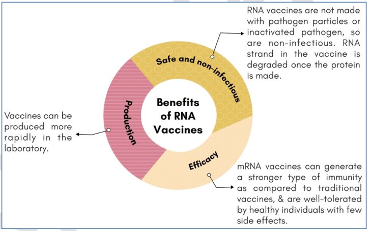 mRNA vaccines