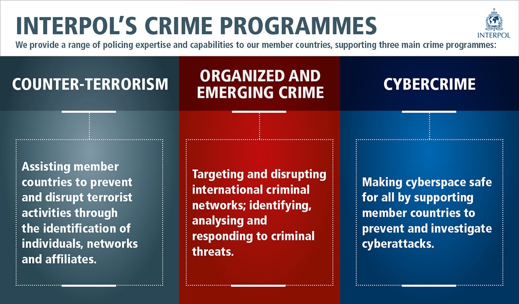 Role of Interpol