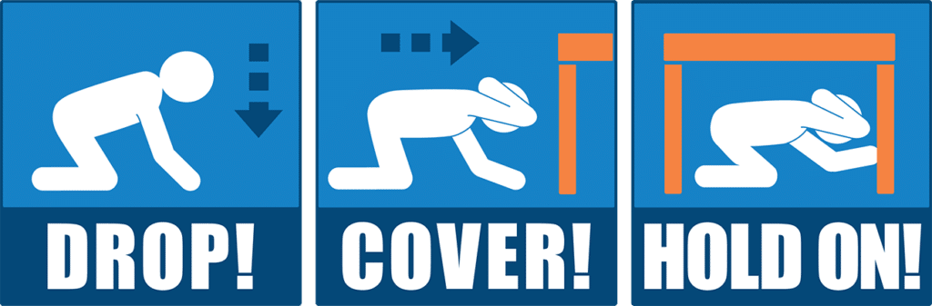 Earthquake Response