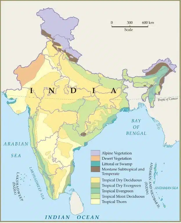 Forest Types Map - India