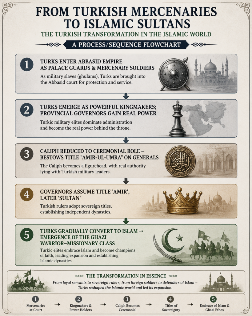 From mercenaries to sultans transformation