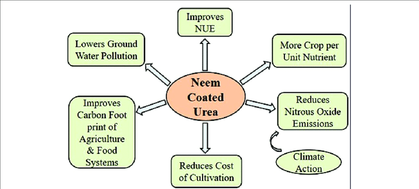 Neem-coated Urea