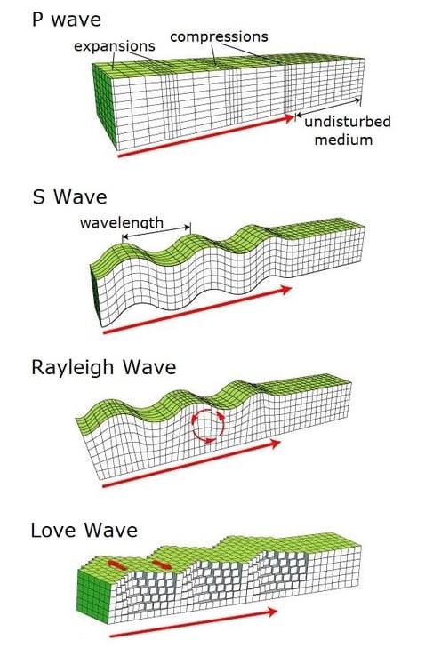 P waves and S waves