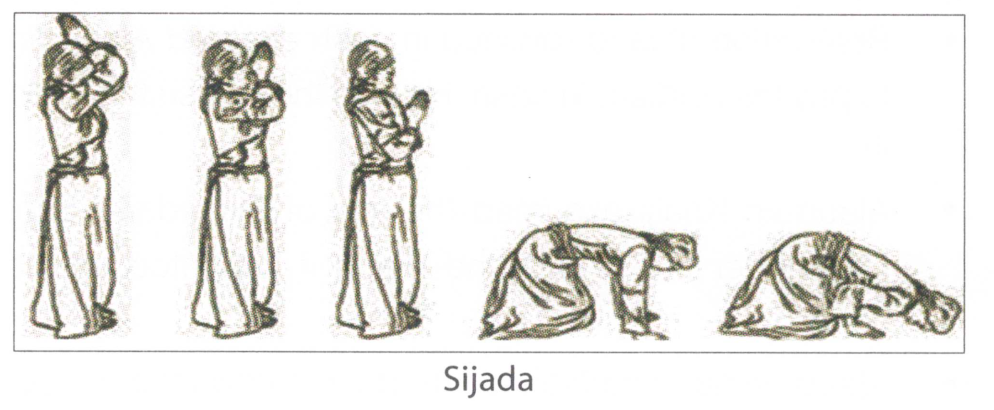 Sijada and Paibos