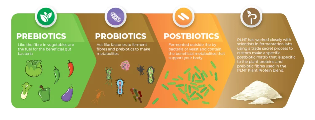 prebiotics probiotics postbiotics