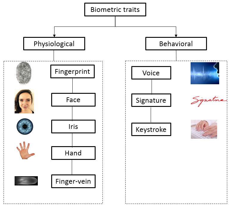 biometric identification