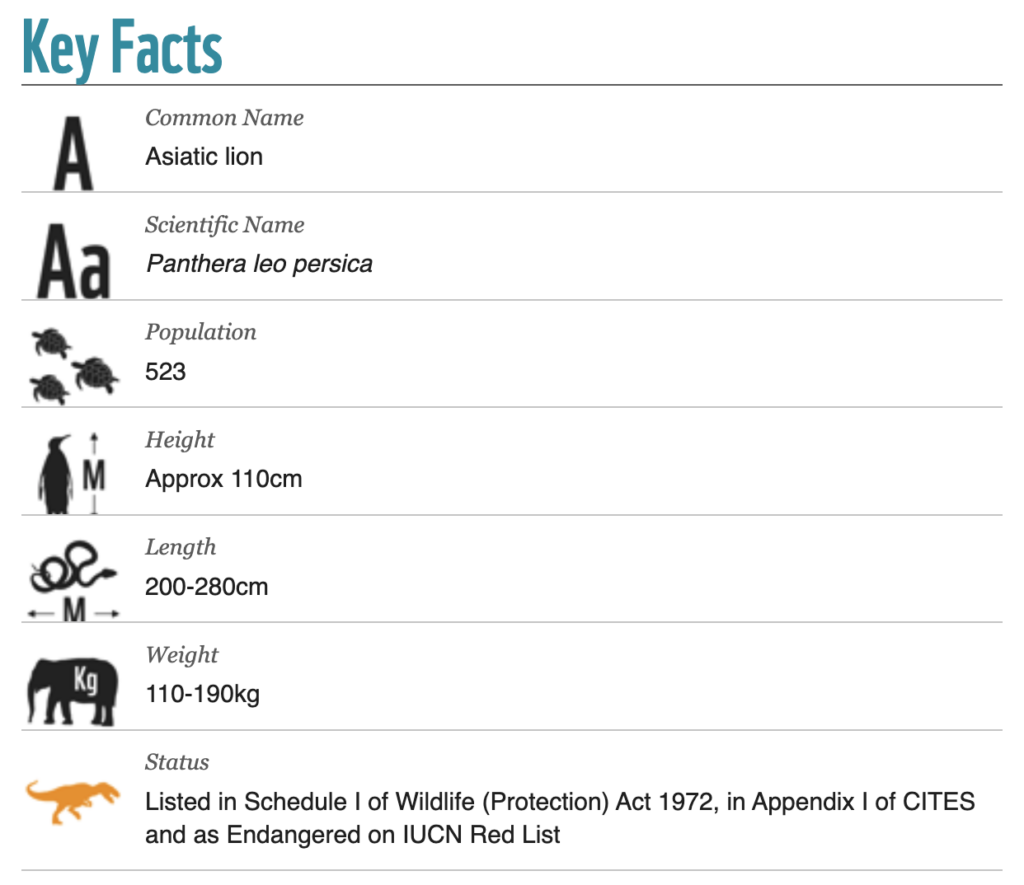 Asiatic lions - Key Facts