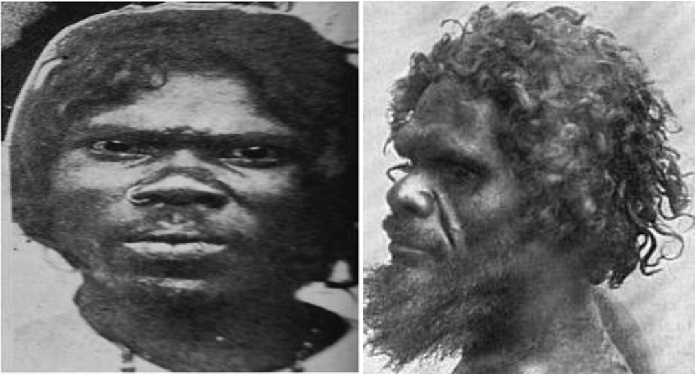 Proto-Austroloid or Australo-Melanesian