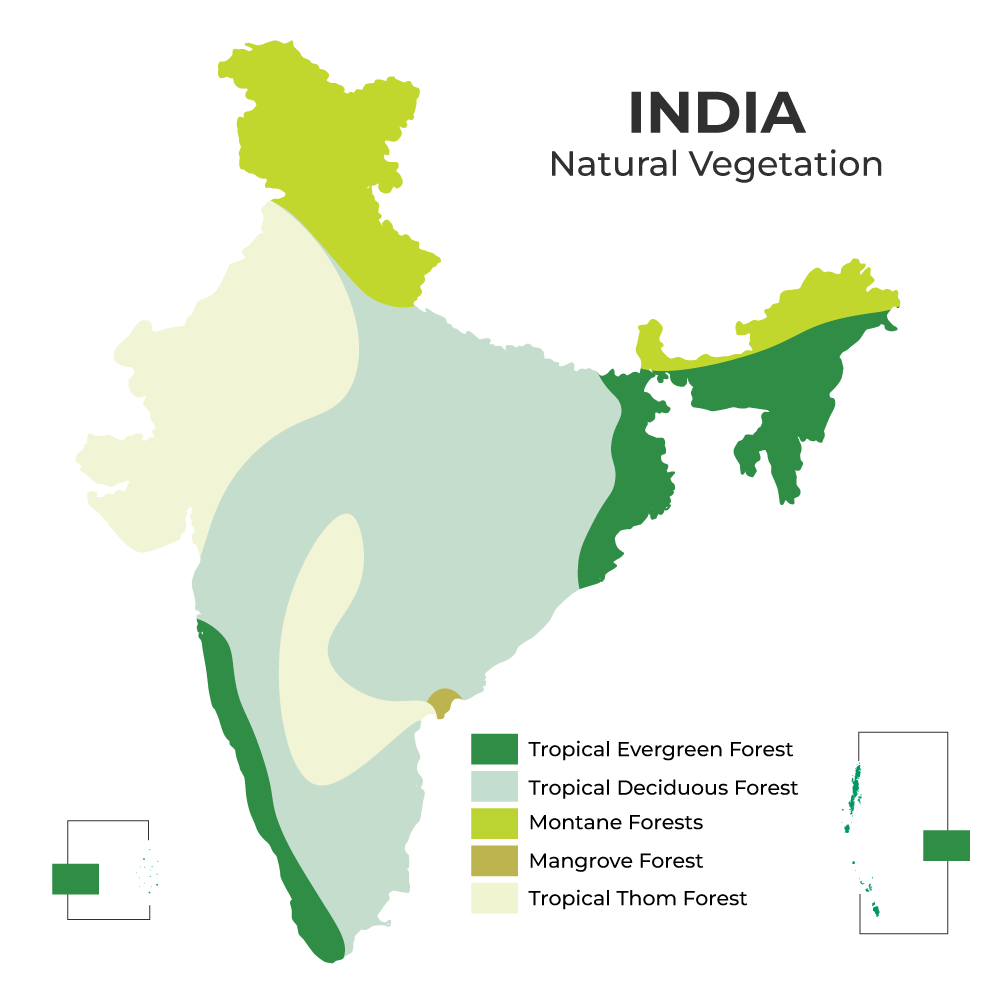 Tropical Deciduous Forests in India