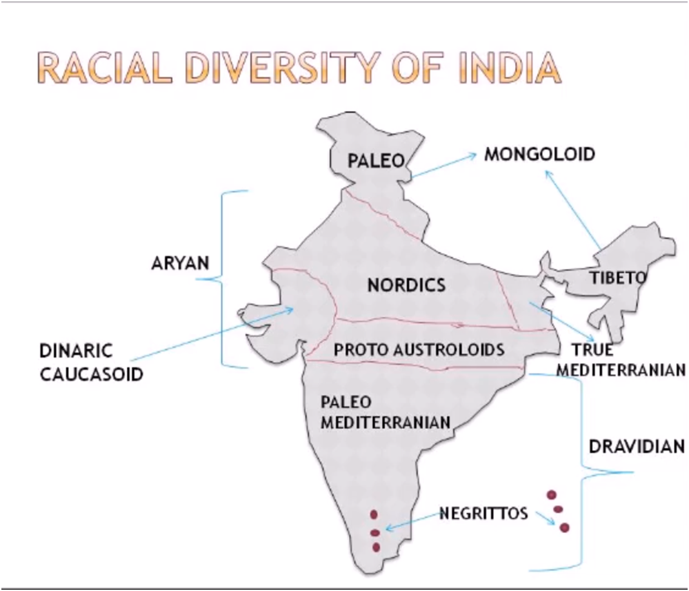 Racial diversity in India