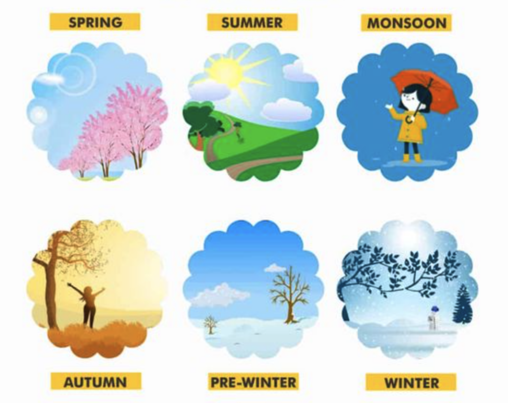 Seasons of India