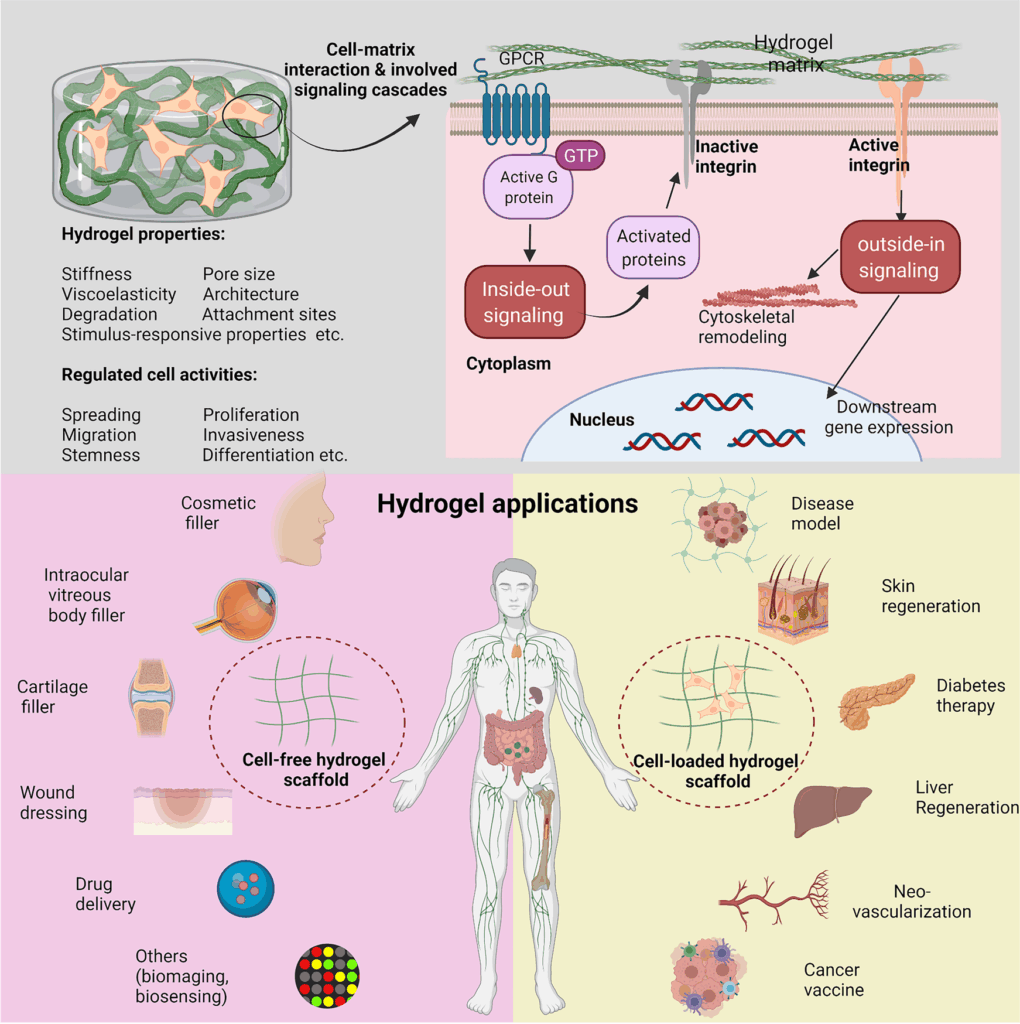 Hydrogels