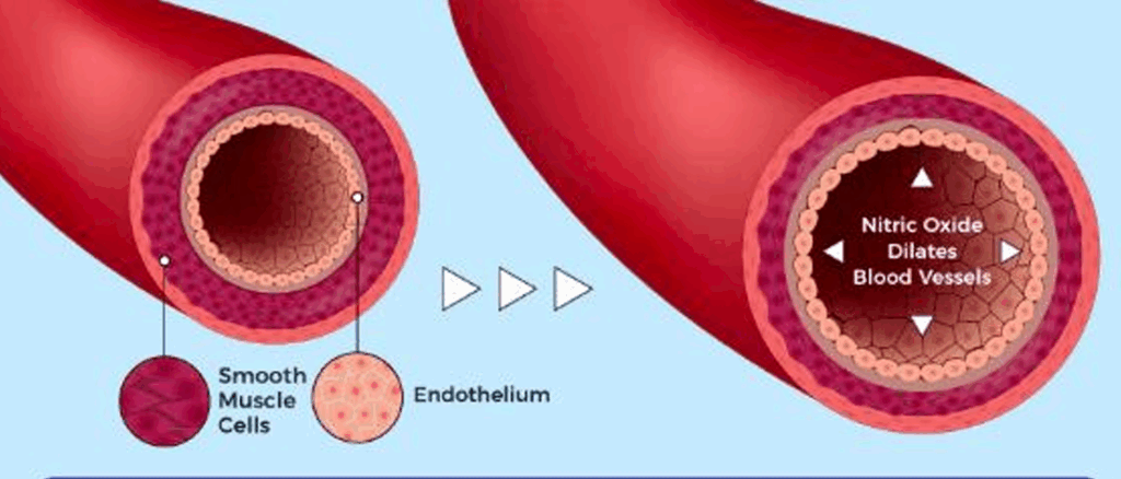 Nitric oxide (NO)