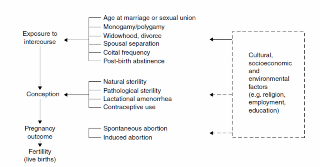 Huw Jones on the determinants of fertility.
