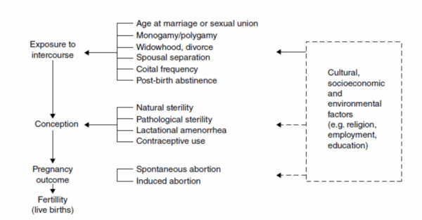 Fertility: Measures and Determinants of Fertility | UPSC