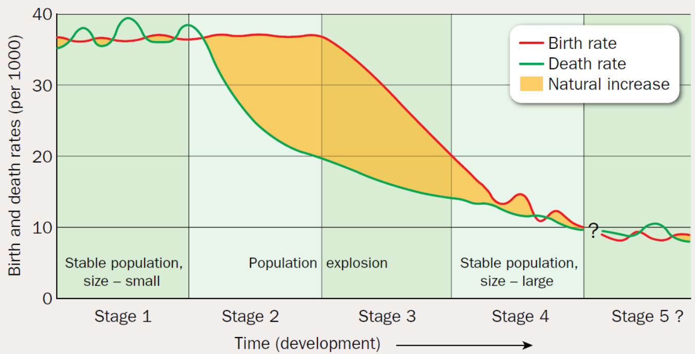 ‘Each phase of demographic transition coincides with broader structural ...
