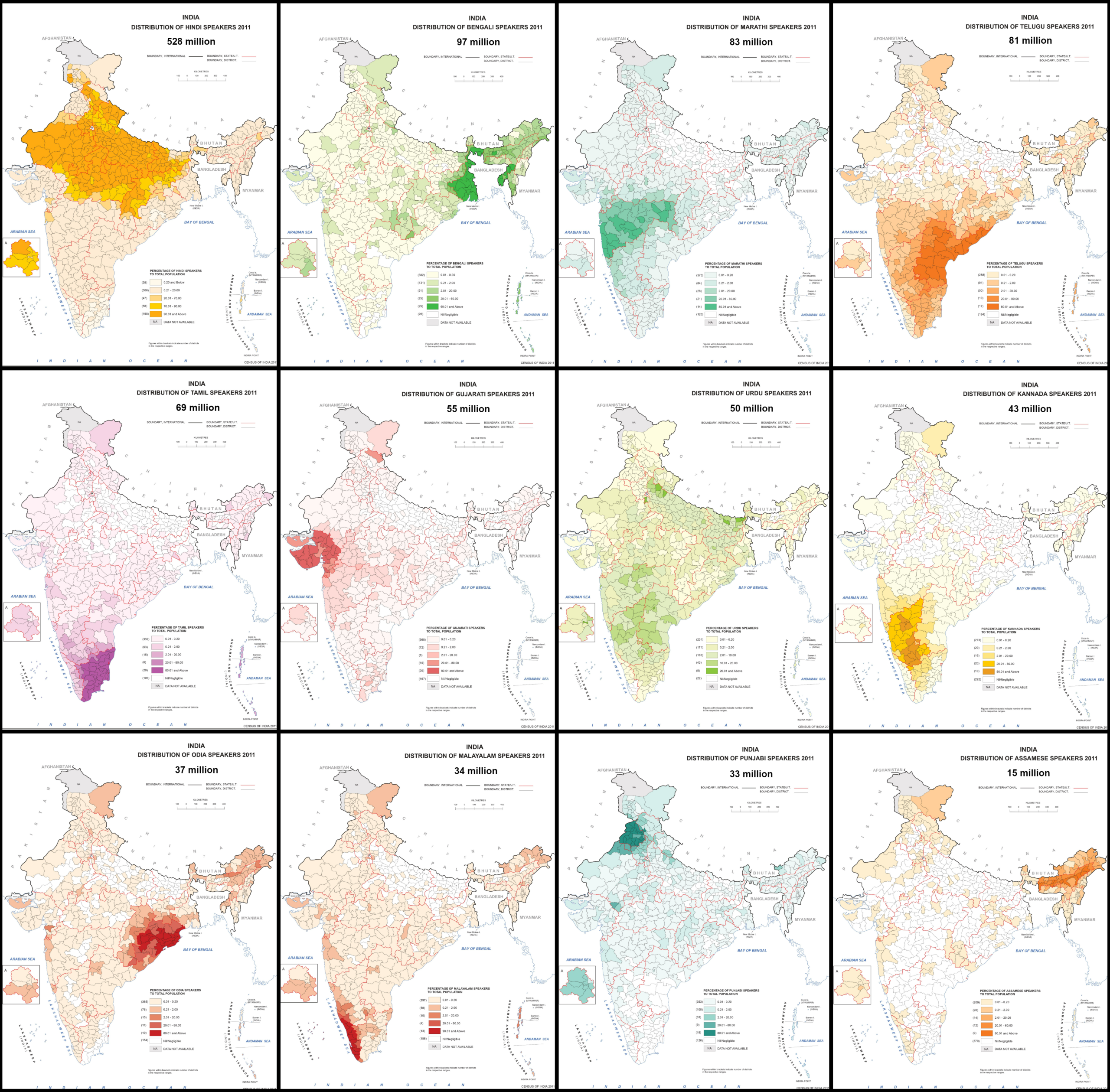Distribution of the most widely spoken languages in India
