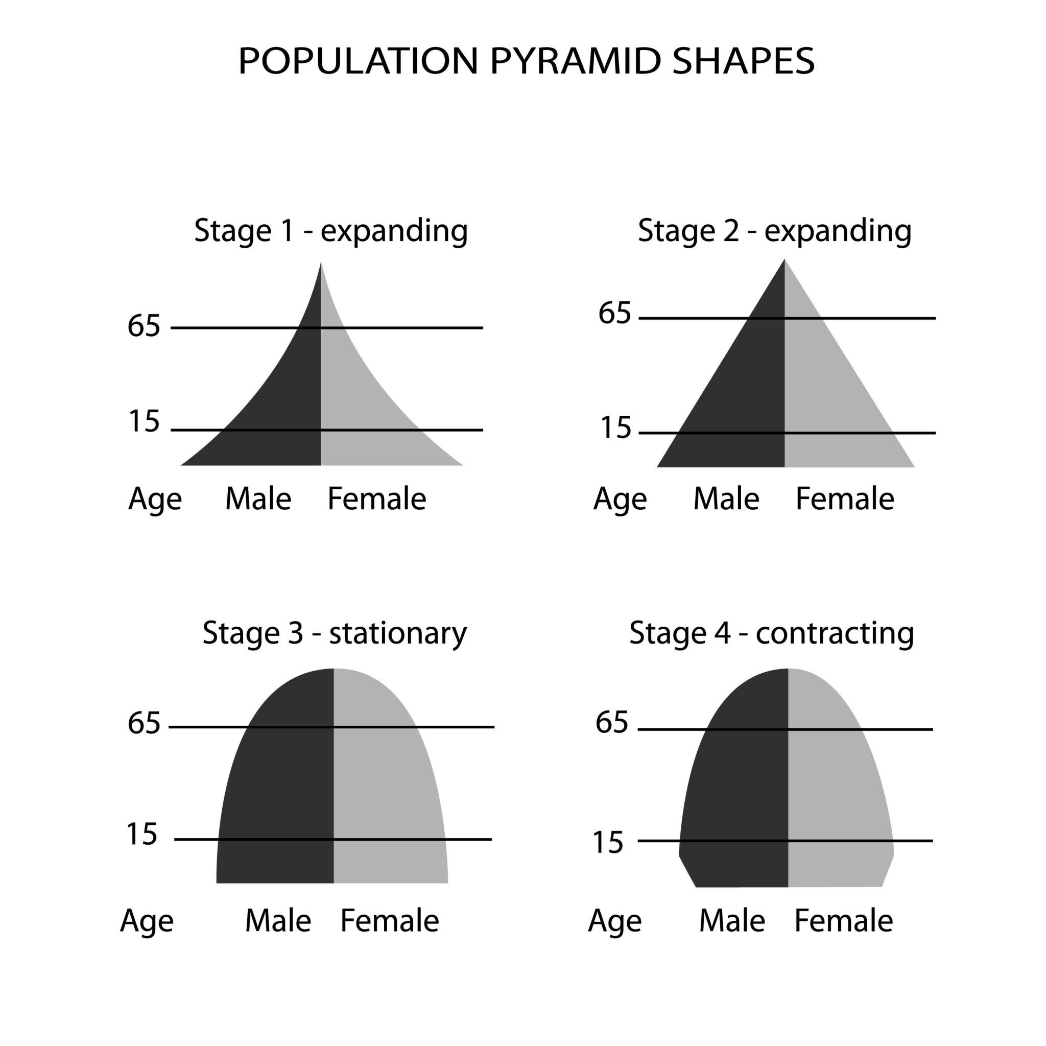 Demographic Attributes (Demographics) | UPSC Notes