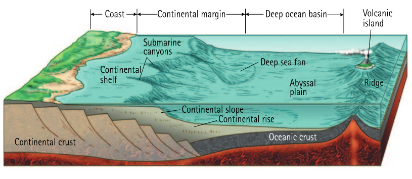 ocean basin